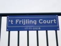z3000 frijling court